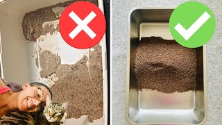 Cat litter box hacks that will save your life [upl. by Niuqaoj]