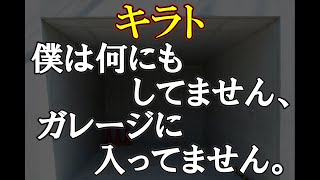 栃木に行っても車から降りて何もしてません。バカなのか？ [upl. by Duthie621]