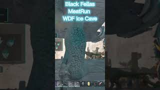 The Fellas Meat Run WDF ark arkasa arksurvivalevolved arkofficial [upl. by Ikkaj]