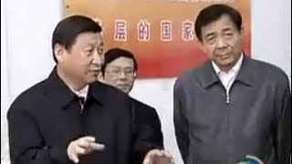 习近平2010年视察重庆 高度肯定薄熙来唱红打黑 [upl. by Eisnyl]