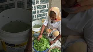 Bachho Ki Farmaish palaksaag villagefood villagekitchen sunilpalvlogs [upl. by Asirem]