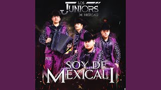 Soy de Mexicali [upl. by Yelsha]