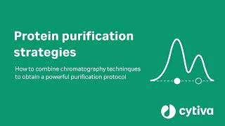 Protein purification strategies [upl. by Atimed]