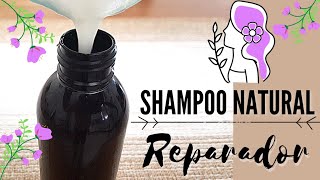 🍃🌺 Cómo hacer un SHAMPOO NATURAL  💚 Shampoo líquido reparador [upl. by Joyce551]