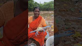 నేను మా మామ చేపలకోసం వాకాడుకి వెళ్ళాము🐟  ఇక్కడ రకరకాల చేపలతో పాటు ఎంట్రకాయలు వున్నాయి😮 seafood [upl. by Syramad]