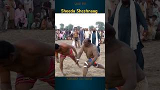 Sheshnaag Kabaddi match shorts youtubeshorts kabaddi [upl. by Katherin]