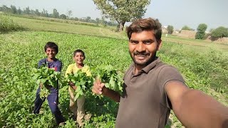 Pahle Din Desi Sag Banaya village life [upl. by Japha413]