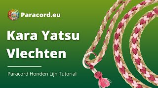 Kara Yatsu Kumihimo Vlecht  DIY Paracord Hondenlijn  Makkelijk Voor Beginners [upl. by Elleuqar821]