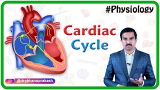 The Cardiac Cycle Animation [upl. by Acirtal242]