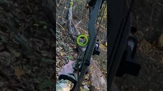 This shot was CRAZY Whitetail from the ground Full video linked shorts bowhunting archery [upl. by Suilienroc]