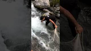 Net Fishing in Crowded Stream  Unexpected No Catch in Fast Water Adventure fishing ytshorts [upl. by Hamon838]