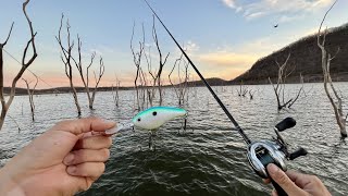 Pescando Lobinas en la Sierra de Sinaloa  Presa “El Salto” [upl. by Meda]