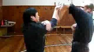 Wing Chun  Chi Sau Sparring 1 [upl. by Bolte]