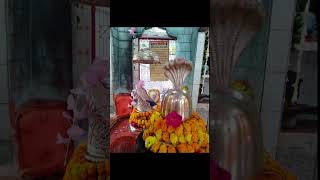 Everything About Lalita Devi Temple Prayagraj 🙏 lalitadevi shaktipeeth prayagraj youtubeshorts [upl. by Picker]