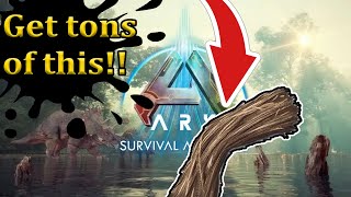 Best way to gather fiber Ark Survival Ascended [upl. by Philemol]