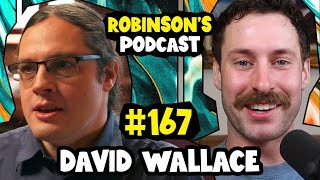 David Wallace The ManyWorlds Interpretation of Quantum Mechanics  Robinsons Podcast 167 [upl. by Ahsik]