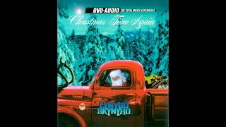 Lynyrd Skynyrd  Hallelujah Its Christmas 51 Surround Sound [upl. by Sayres]