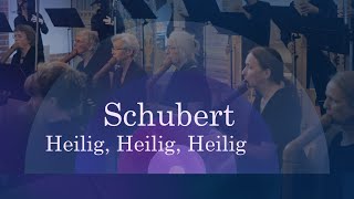 Franz Schubert  Heilig Heilig Heilig  Deutsche Messe D 872  Berliner Blockflöten Orchester [upl. by Alick301]