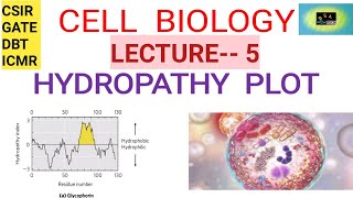 CELL BIOLOGY HYDROPATHY PLOT  CSIR NET  GATE  DBT ICMR [upl. by Mat]