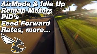 Betaflight setupdiscussion Remapping Motor PID Feed Forward Rates Air Mode  Idle up Blheli32 [upl. by Senn569]