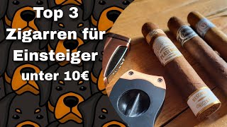 Top 3 Zigarren für Einsteiger unter 10€ [upl. by Flosi]