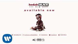 Kodak Black  Everything 1K Official Audio [upl. by Aihseym263]