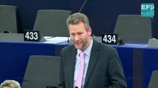 EUUkraine agreement must match reality  Nathan GILL MEP [upl. by Akenahs]