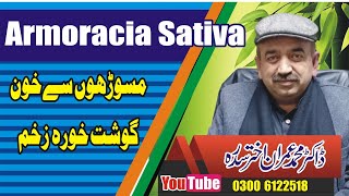 Armoracia Sativa The Best Remedy For Gum Bleeding  Dr Imran Sedarh [upl. by Zapot]