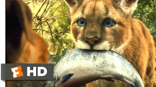 A Dogs Way Home 2018  Hunted by Coyotes Scene 310  Movieclips [upl. by Behrens300]