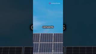 Discover the SHOCKING Truth About Solar Panels Generating Electricity solarpanels [upl. by Hendrik]