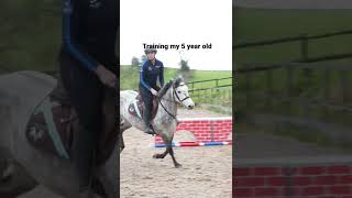 Training 5 year old horse VS 8 year old horse [upl. by Iew819]