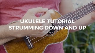 Ukulele Tutorial  Strumming Down And Up [upl. by Ym]