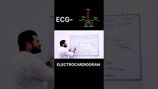 ECG  Electrocardiogram  biology shorts youtubeshorts trendingshorts viralshorts ecg facts [upl. by Idihc]