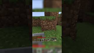 PALLE DI ASINO SU MINECRAFT MOLTO NUTRIENTI [upl. by Ecirtnuahs]