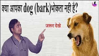 Dog Barking Problem ll Must see II dog and vet II [upl. by Jobey]