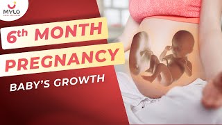 6 Month Baby Growth amp Movements Inside The Womb  Fetal Development In 6 Month Of Pregnancy  Mylo [upl. by Einnaej]