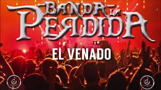 EL VENADO  Banda la Perdida disco en vivo 2019 [upl. by Edas281]