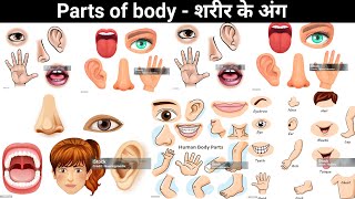 Parts of Body  Body Parts Name  Name of Body Parts in English with Pictures  bodyparts [upl. by Oirram605]