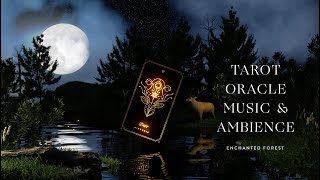 Tarot amp Oracle Music amp Ambience with the Cosmic Wild Oracle Deck in an Enchanted Forest by Cocorrina [upl. by Aneelas819]