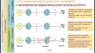 PLANE POLARIZED LIGHT AND OPTICAL ACTIVITY  OPTICAL ISOMERISM  GOC [upl. by Edgell]