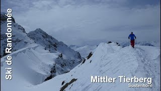 Ski de randonnée  Sustenhorn  Mittler Tierberg 3309 m [upl. by Chenee]