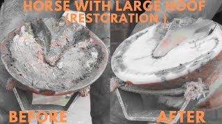 Shire Horse Complete restoration Shire Horse Restoration Compilation shirehorse huge massivehoof [upl. by Reynold902]