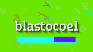 BLASTOCOEL  HOW TO SAY BLASTOCOEL [upl. by Winikka446]