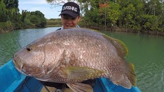 Papuan Black Bass amp Spot Tail Bass in Maluku Indonesia Trailer [upl. by Gitt]