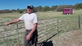 Genius farmers make living off moving goats everyday [upl. by Giarc306]