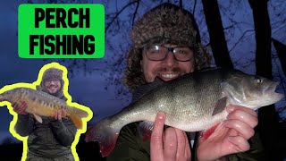 PERCH FISHING commercial perch fishing with a few BIG SURPRISES [upl. by Esiuolyram753]