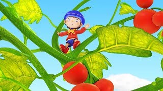 Noddy In Toyland  Tessies Garden Grows And Grows  Noddy English Full Episodes [upl. by Etienne139]