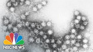 Enterovirus D68 What You Need To Know  NBC News [upl. by Lecirg]