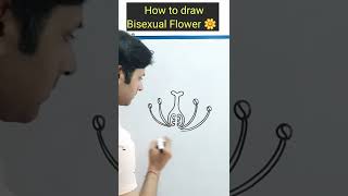 Bisexual Flower  shorts viral tusharsir  How to draw flower [upl. by Llerroj]