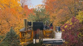 10 perfumes to wear while burning leaves 🍁 [upl. by Artimas468]